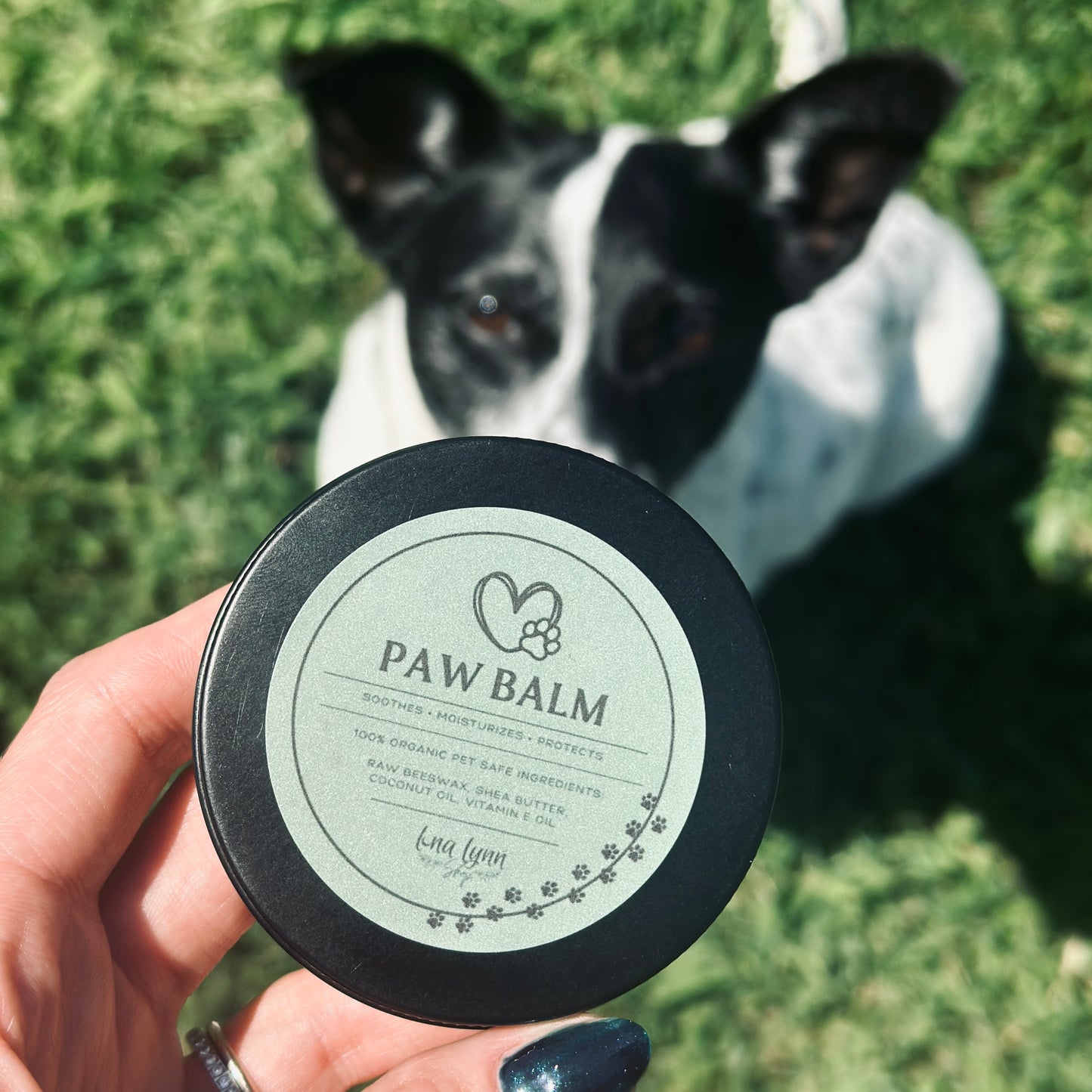 PAW BALM | Soothes • Moisturizes • Protects Paws | Lick Safe | 2oz